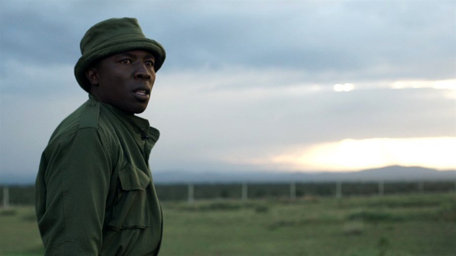 Kifaru [2019] by David Hambridge