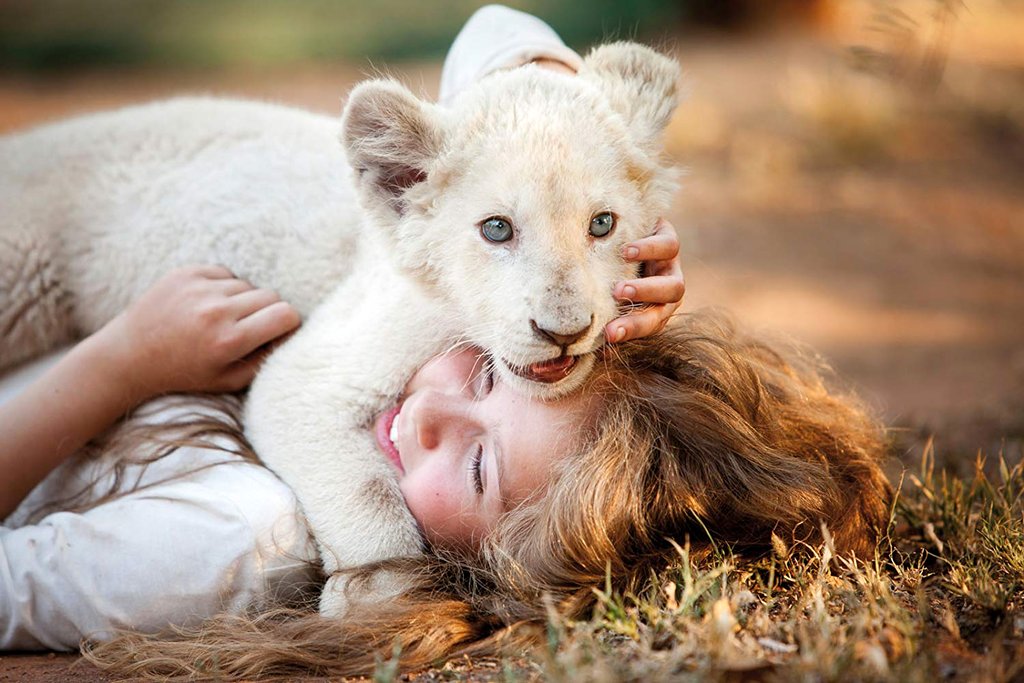 Photo du film Mia and the White Lion