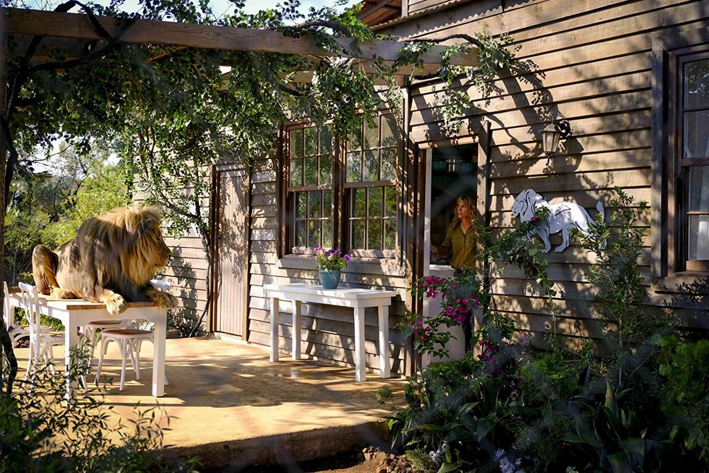 Photo du film Mia and the White Lion