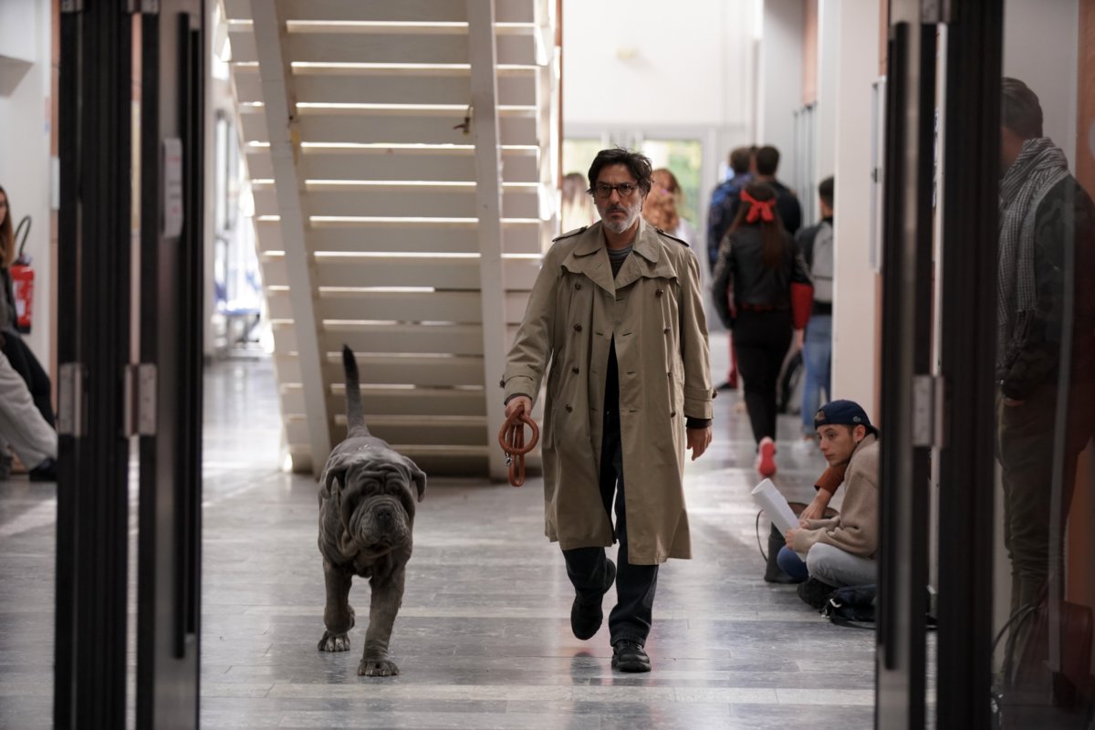 Photo du film Mon chien Stupide