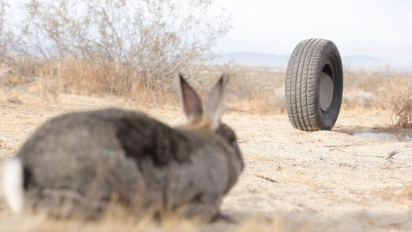 Photo from the movie Rubber [2010]