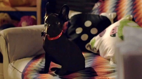 Photo du film Knock Knock