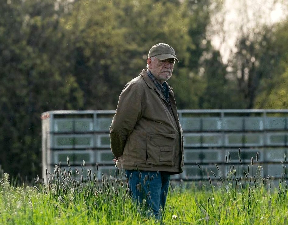 Photo du film Little Wing [2024]