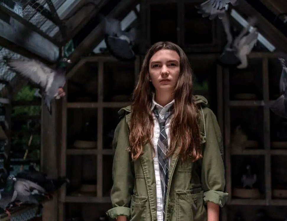 Photo du film Little Wing [2024]