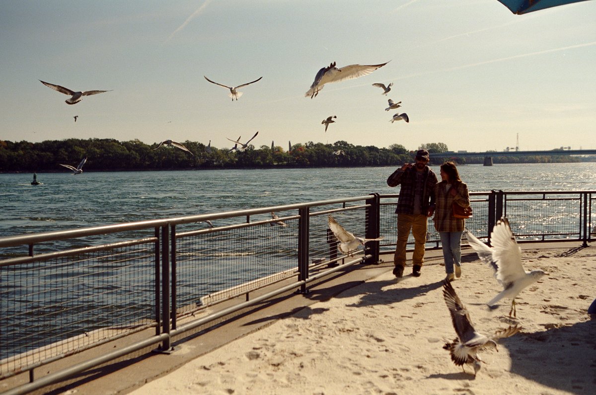 Photo du film Simple comme Sylvain