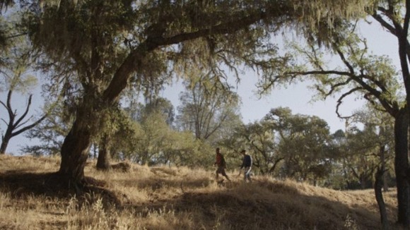 Photo from the movie Tiger Orange