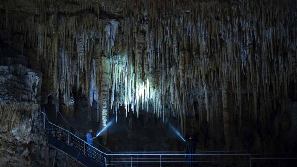 Photo from the movie Les Fauves