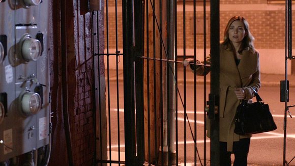 Photo from the movie Wildflower [2016]