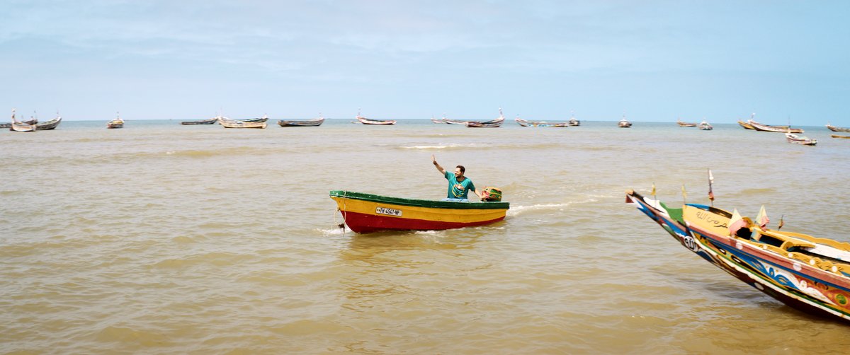 Photo du film Here & There [2024]