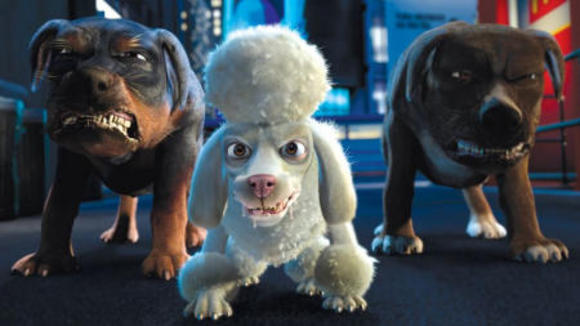 Photo from the movie The Wild