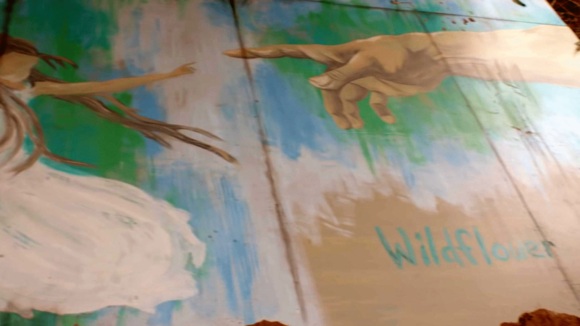 Photo from the movie Wildflower [2016]