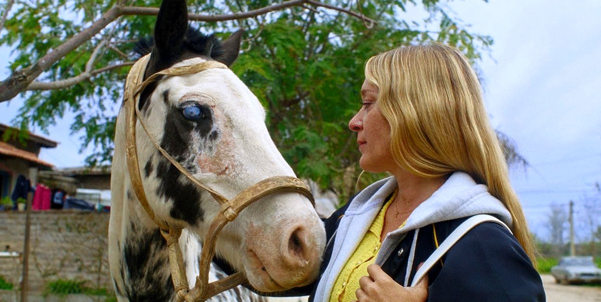 Photo du film Magic Farm