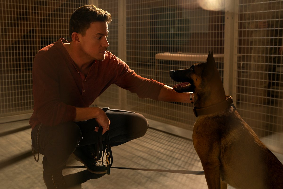 Photo from the movie Dog