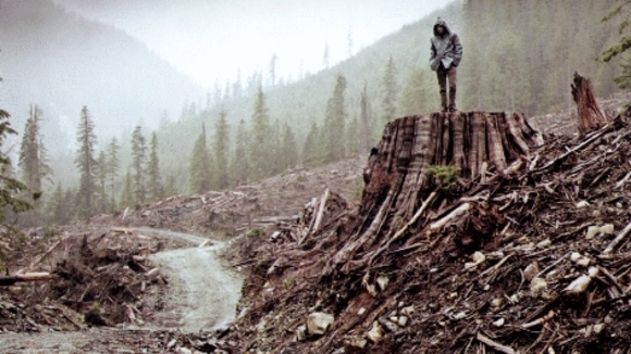 Photo du film If a Tree Falls: A Story of the Earth Liberation Front