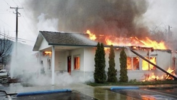 Photo du film If a Tree Falls: A Story of the Earth Liberation Front