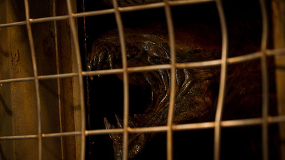 Photo from the movie Riddick