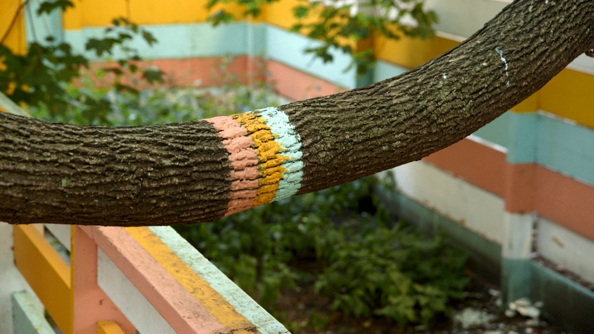 Photo from the movie So Late So Soon [2020]