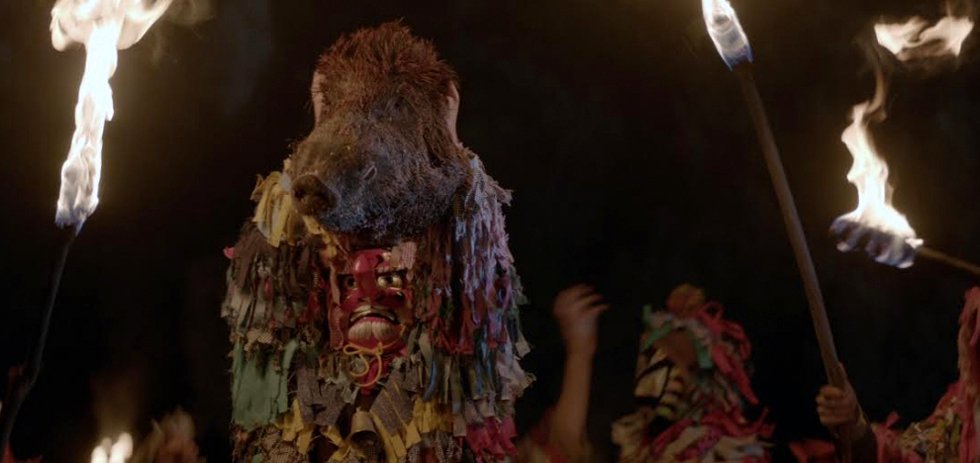 Photo from the movie The Ornithologist