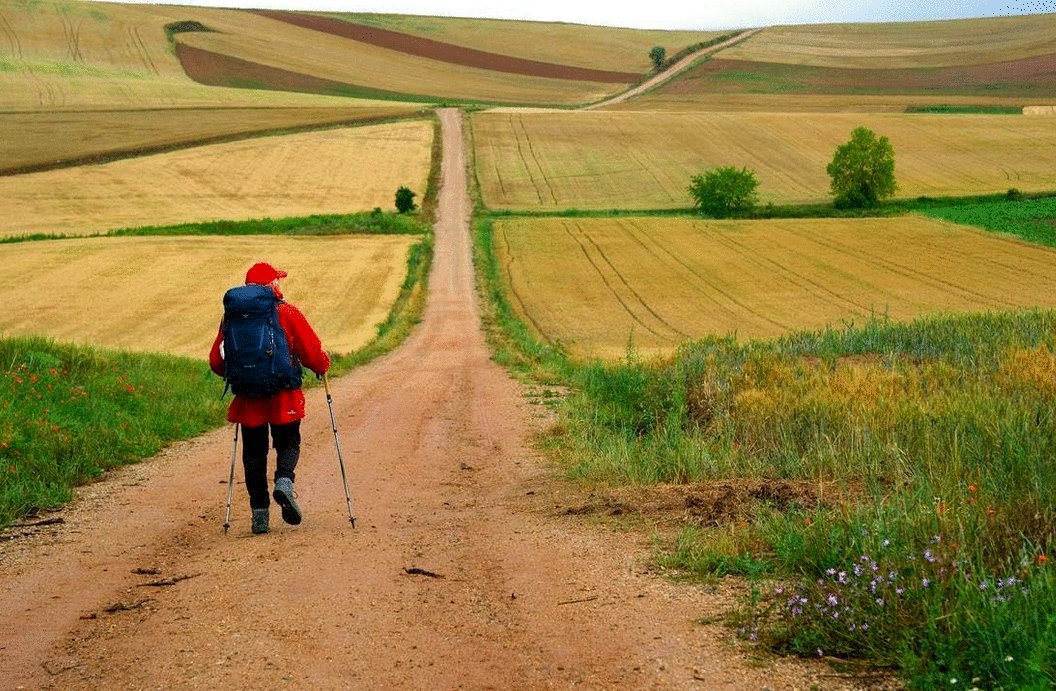 Photo from the movie The Way, My Way