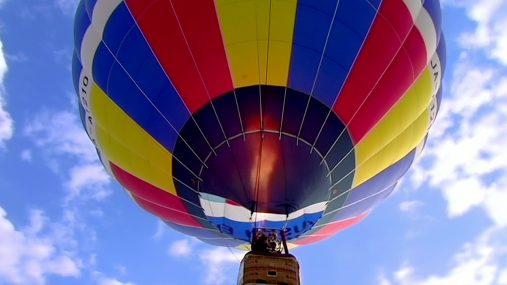 Photo du film With the Wind [2019]