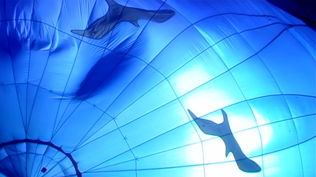 Photo du film With the Wind [2019]