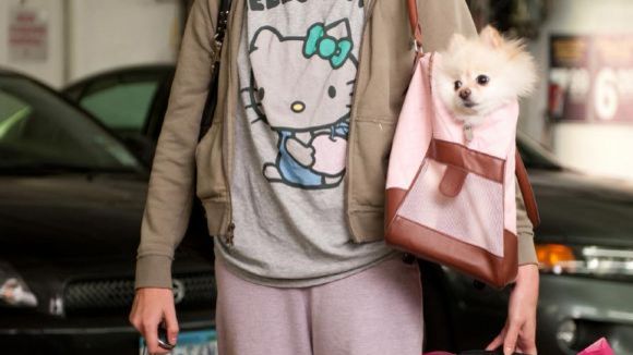 Photo du film Young Adult