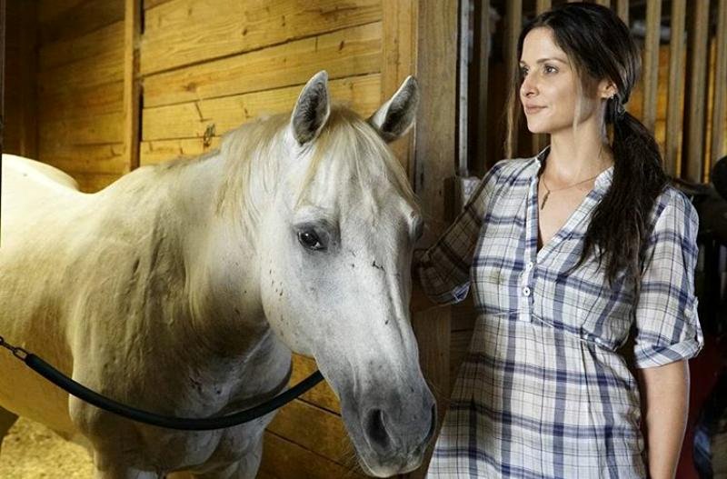 Photo du film La Clé des champs