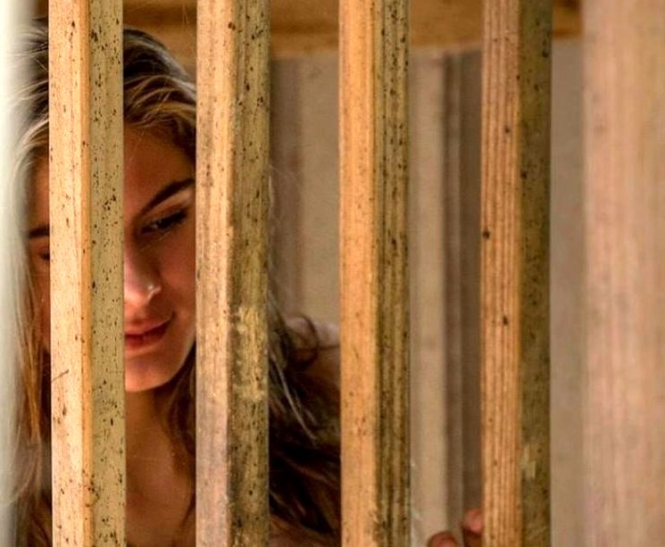 Photo du film La Clé des champs