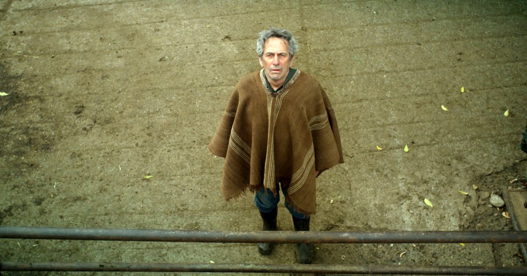 Photo du film The Cow Who Sang a Song Into the Future