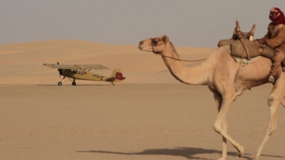 Photo du film Or noir