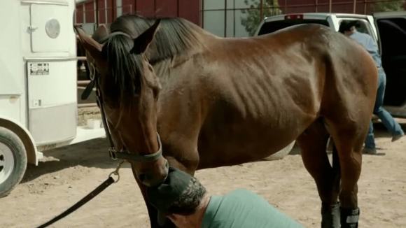 Photo du film 50 to 1