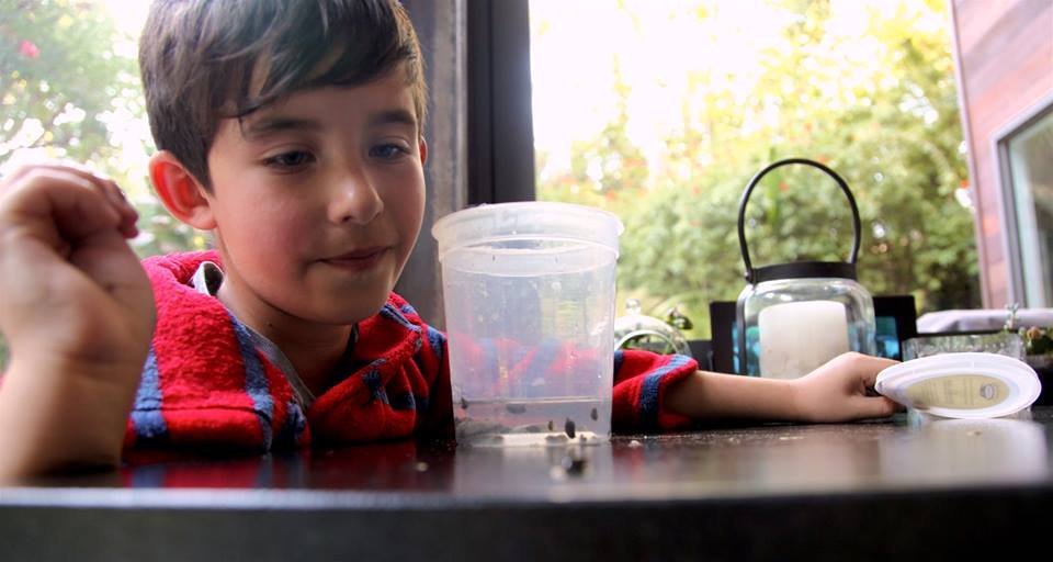 Photo du film Before the Sun Explodes