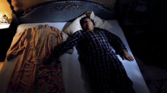 Photo du film Cherry Blossoms: Un rêve japonais