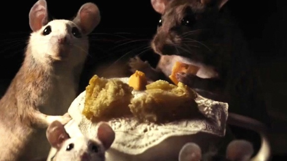 Photo from the movie Cinderella