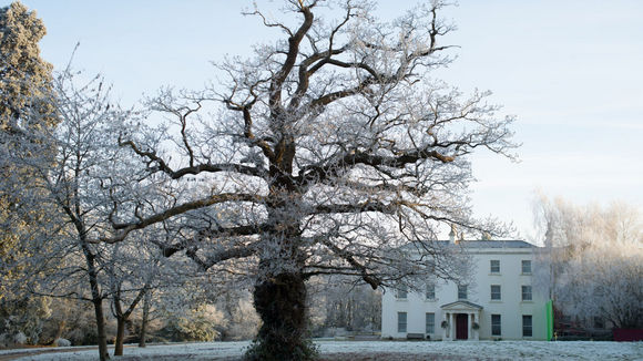 Photo from the movie Philomena v.f.