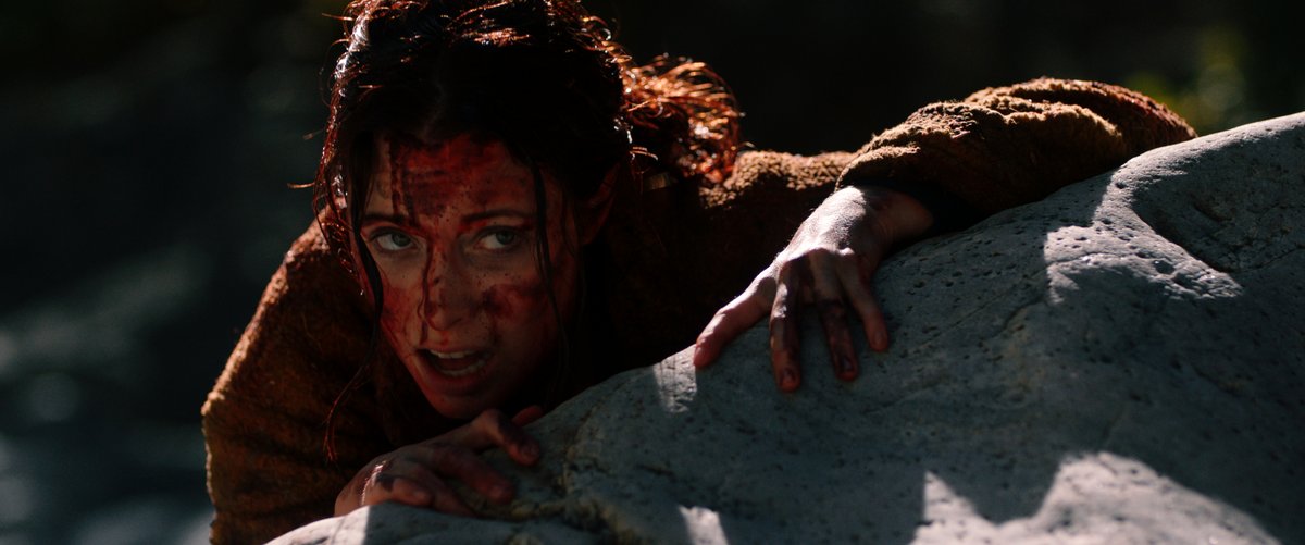 Photo du film Dark Nature [2022]