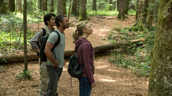 Photo from the movie La forêt