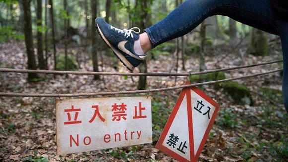 Photo from the movie La forêt
