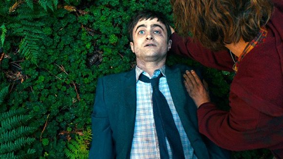 Photo du film Swiss Army Man