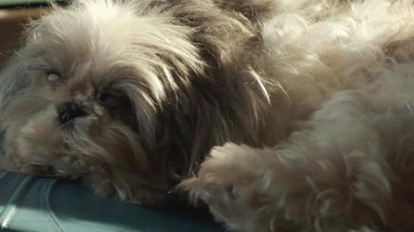 Photo du film This Is Happening