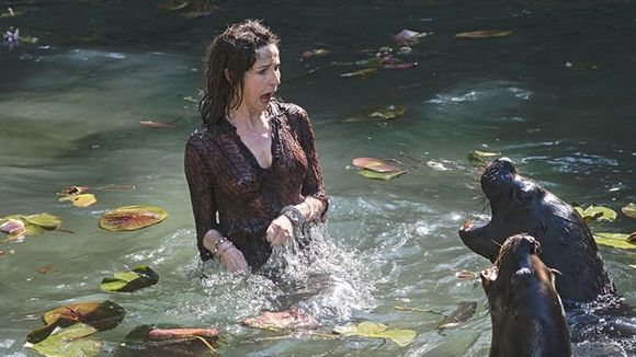 Photo from the movie 100% cachemire