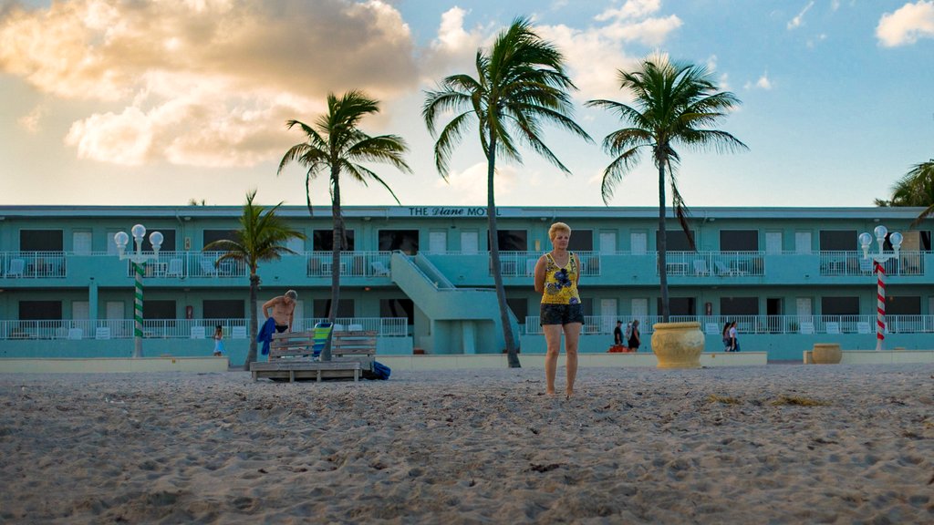 Photo du film L'Amour à la plage [2018]