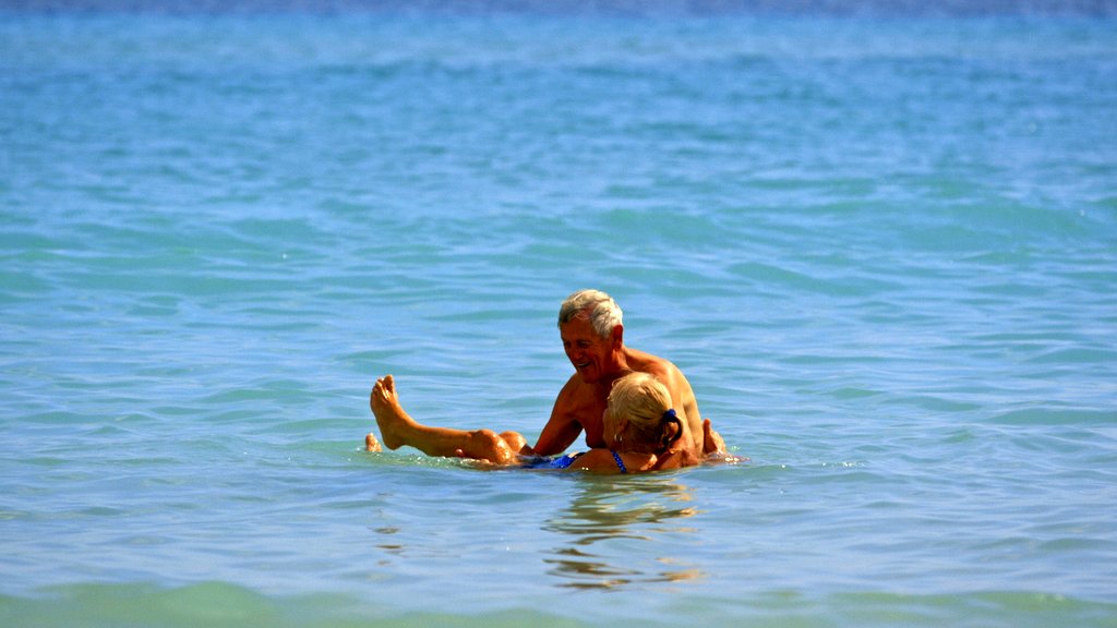 Photo du film L'Amour à la plage [2018]