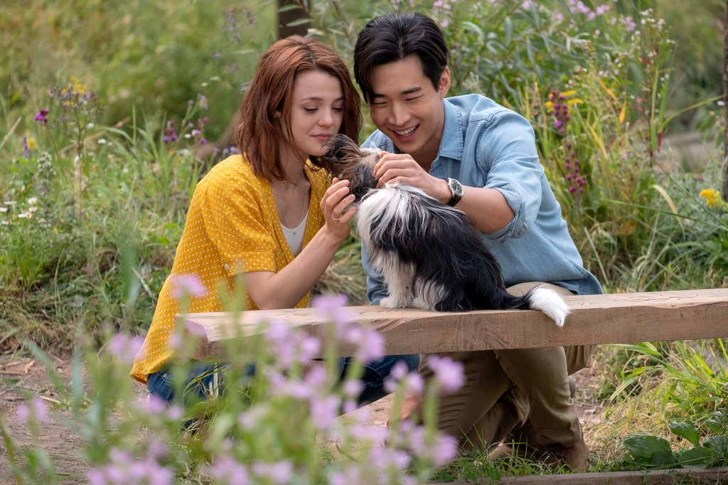 Photo from the movie Mes voyages de chien