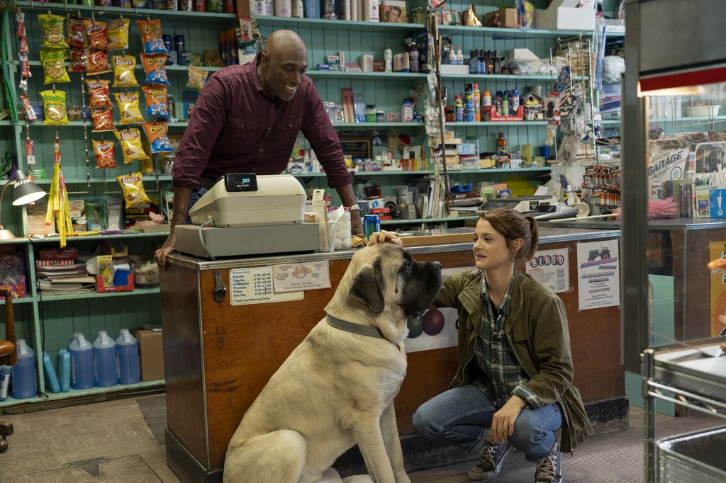 Photo from the movie Mes voyages de chien