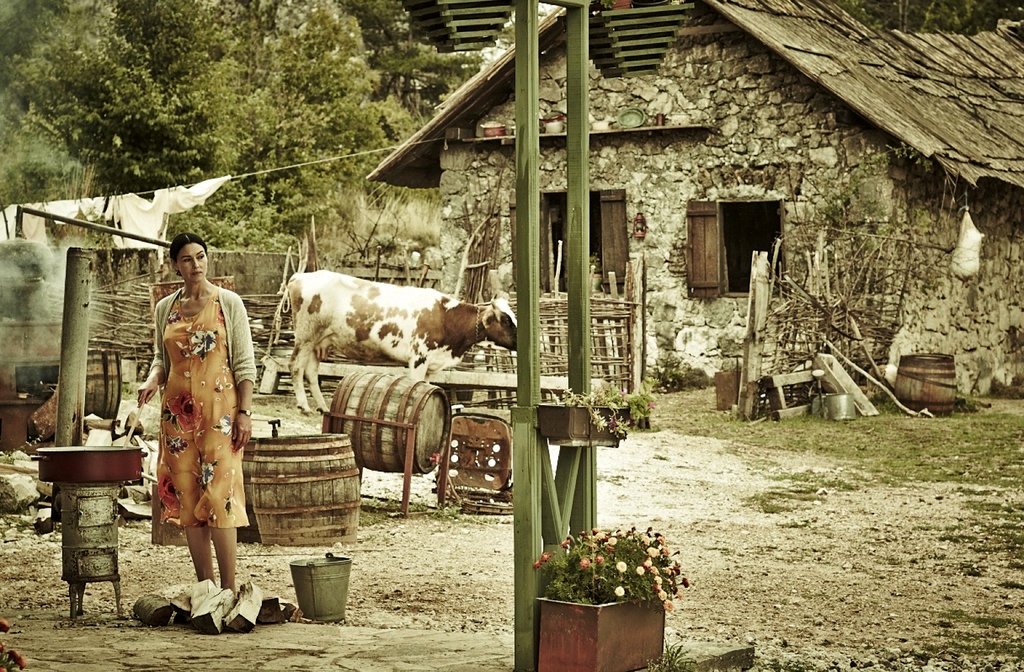Photo du film L'Amour et la paix