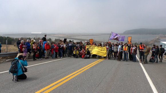 Photo from the movie Pipelines, pouvoir et démocratie [2015]