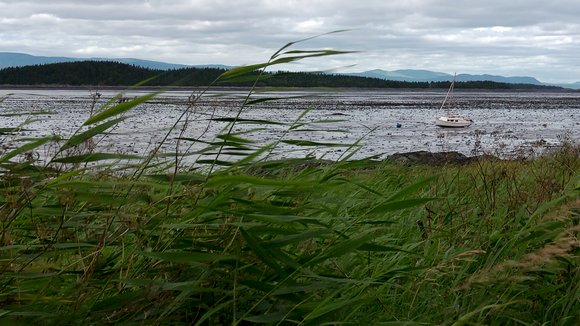 Photo from the movie Pipelines, pouvoir et démocratie [2015]