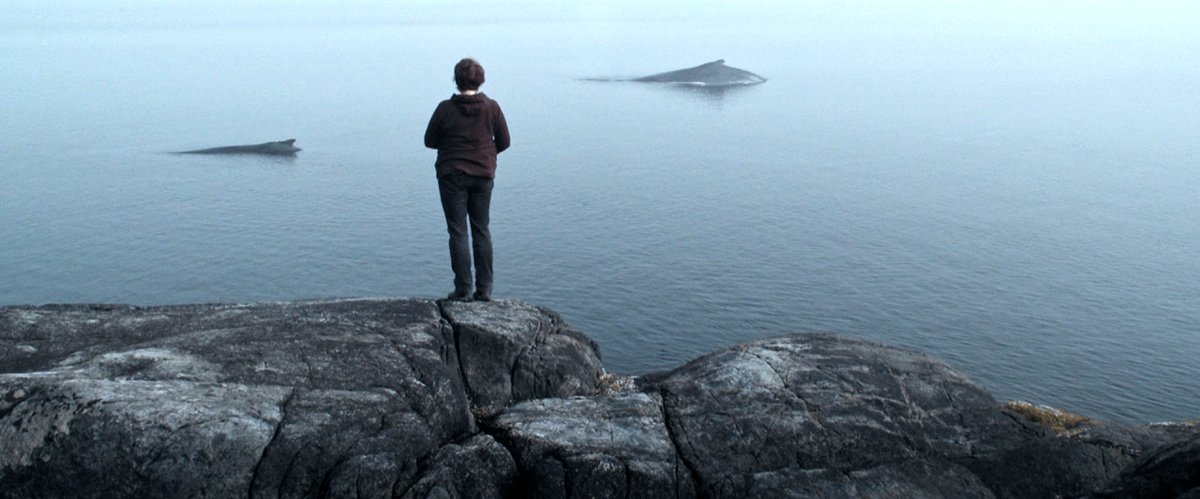 Photo from the movie La Baleine et le corbeau [2019]