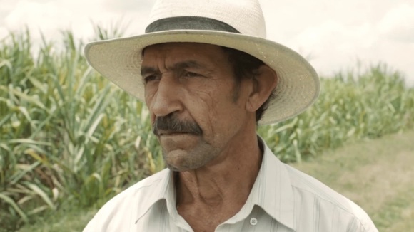 Photo du film Land and Shade [2015]